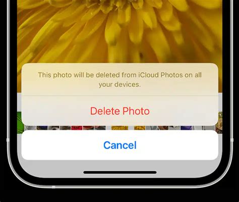 에서 삭제 된 사진을 영구적으로 복구하는 방법 - 아이폰 사진